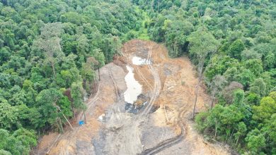 Hutan Pendidikan Unmul, 3,26 Hektare Rusak Akibat Tambang Ilegal