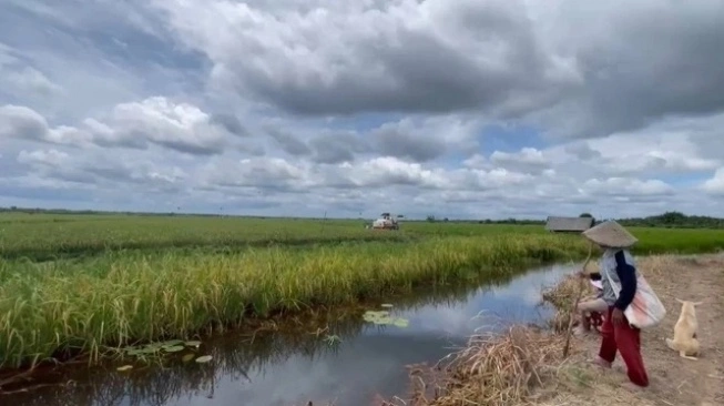 Dinas Kelautan dan Perikanan atau DKP Kalimantan Timur, memperkuat program budidaya ikan, baik di sektor air tawar maupun air laut.