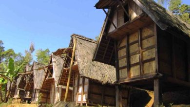 Pemerintah Kabupaten Kutai Kartanegara berkomitmen memperkuat Kedaulatan ketahanan pangan berbasis masyarakat.